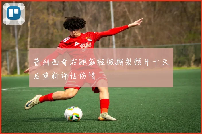 普利西奇右腿筋轻微撕裂预计十天后重新评估伤情