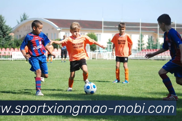 App Interface Preview