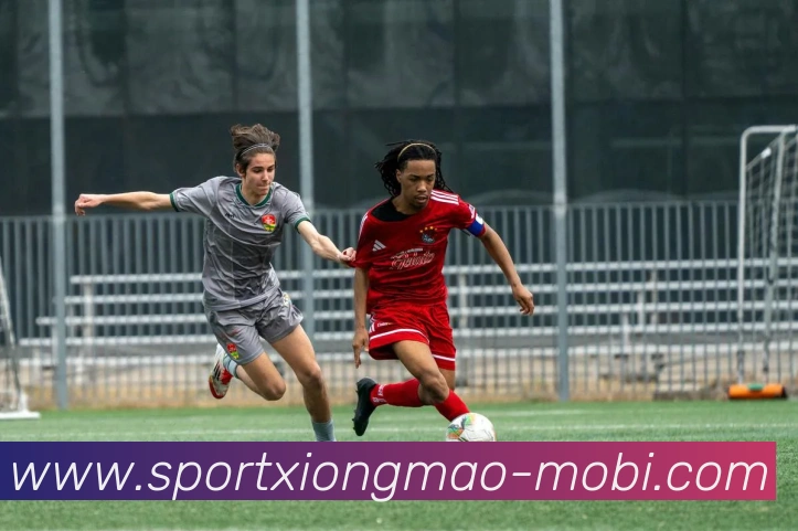 熊猫体育APP 封面图